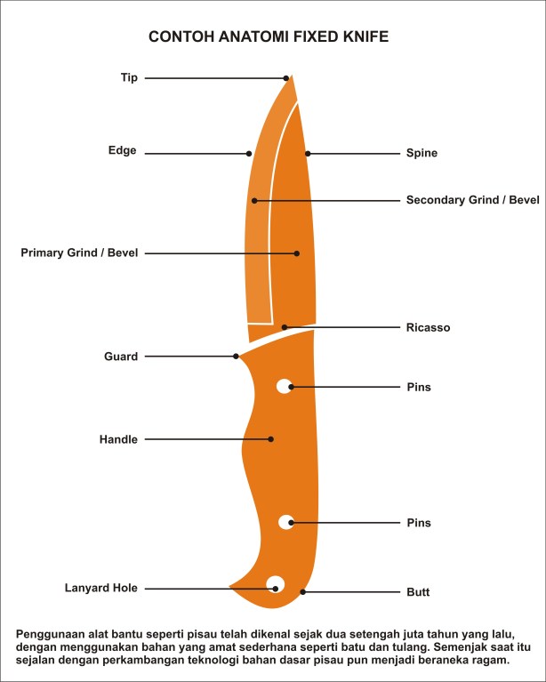 Anatomy of knife 02