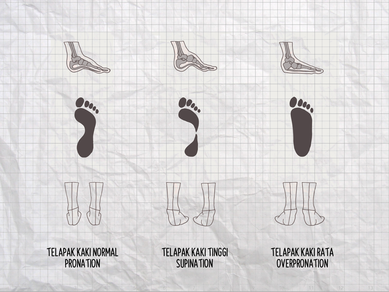 Telapak Kaki